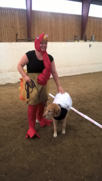 WP_20160827_18_39_25_Pro