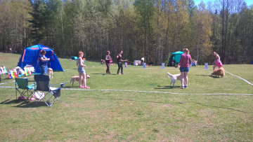 1_WP_20170520_12_56_57_Pro