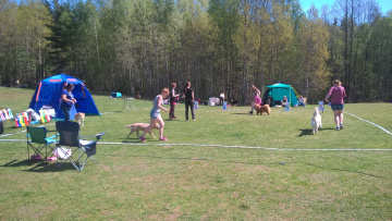 1_WP_20170520_12_56_59_Pro