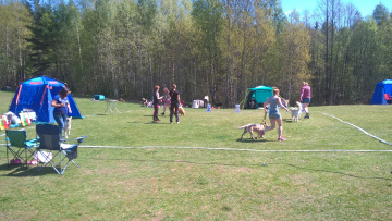 1_WP_20170520_12_57_01_Pro