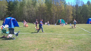 1_WP_20170520_12_57_03_Pro