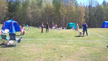 1_WP_20170520_12_57_05_Pro