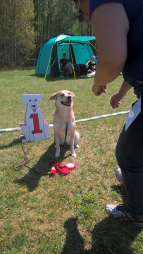 1_WP_20170520_13_03_08_Pro