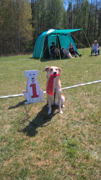 1_WP_20170520_13_03_15_Pro