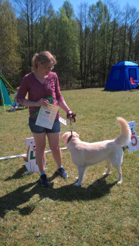 1_WP_20170520_13_03_32_Pro