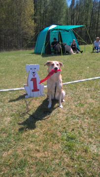 WP_20170520_13_03_16_Pro