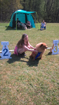 WP_20170520_13_03_23_Pro