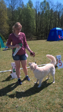 WP_20170520_13_03_35_Pro