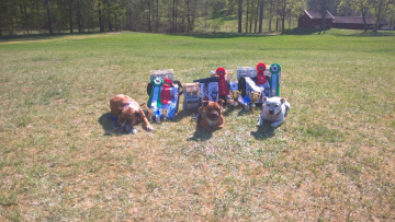 WP_20170520_15_43_52_Pro