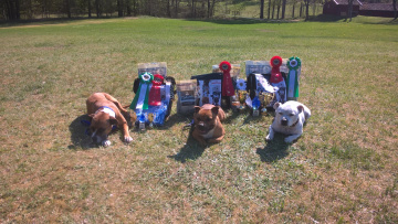 WP_20170520_15_43_57_Pro