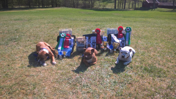 WP_20170520_15_43_59_Pro